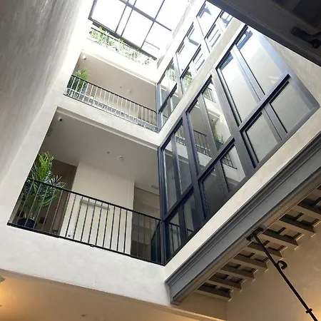 Oma * Cádiz